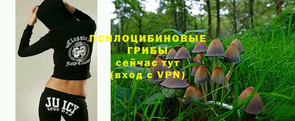 ГАЛЛЮЦИНОГЕННЫЕ ГРИБЫ Киренск