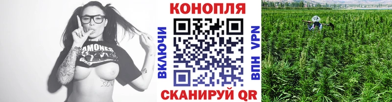 Шишки марихуана семена  Купить закладки  Обь 